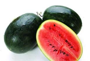 黑料吃瓜总站骗局,一场精心策划的骗局大曝光