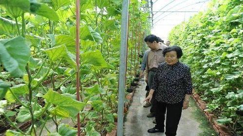 快手网红吃瓜黑料是真的吗