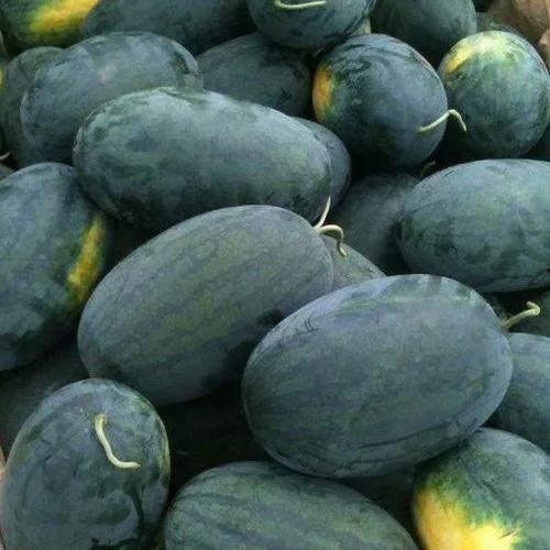 台北娜娜51吃瓜黑料,一场吃瓜黑料的网络风暴