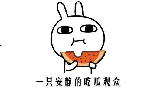 吃瓜热点黑料,吃瓜热点背后的黑料真相